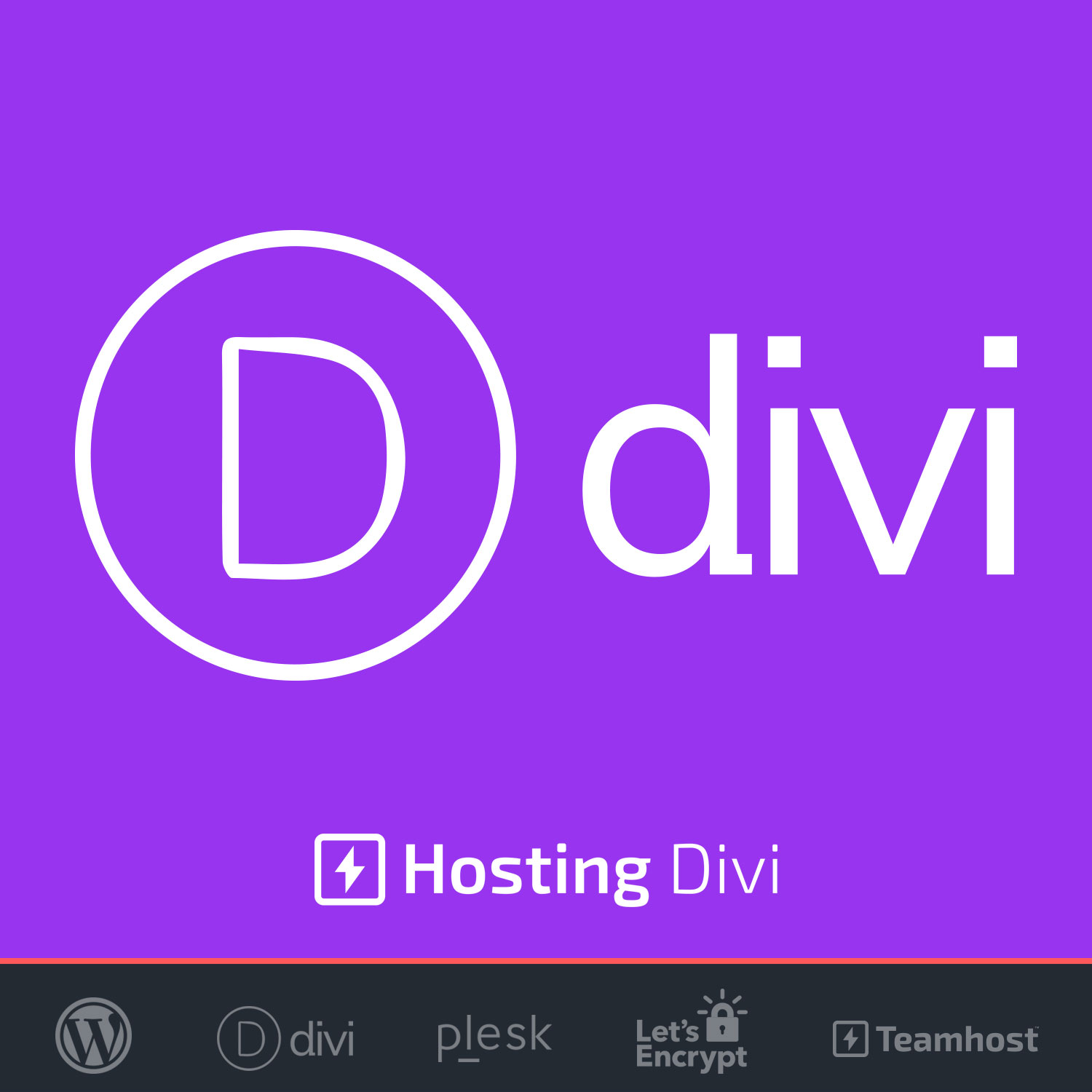 Logo Hosting Divi