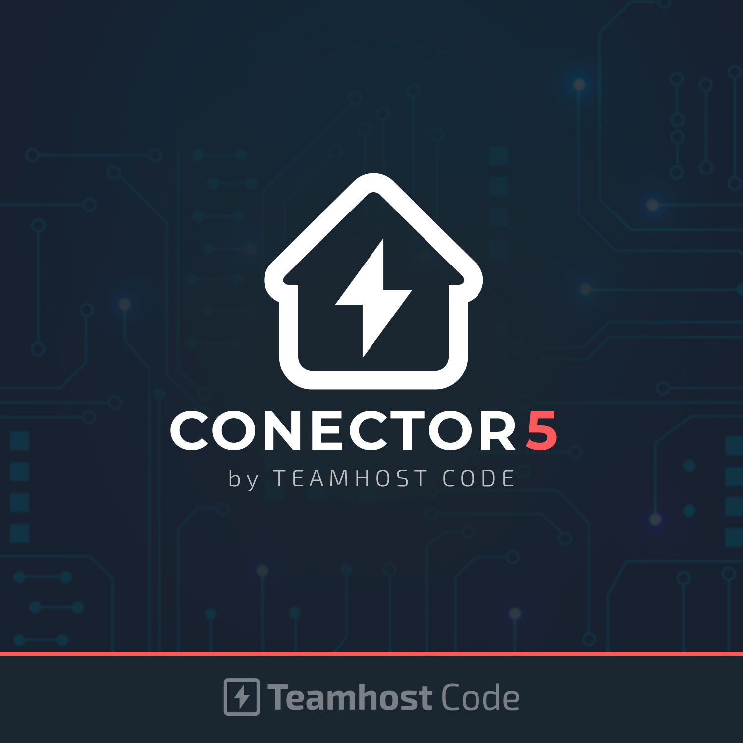 Logo Conector 5 Teamhost Code